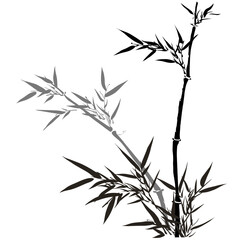 Hand drawn bamboo branch illustration with graceful leaves, traditional japanese Sumi-e brush style bamboo vector for calm natural artwork