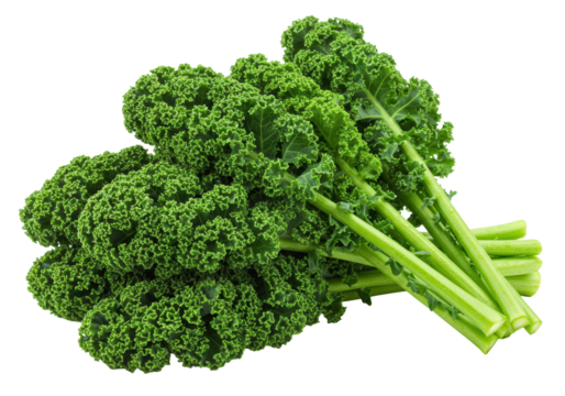 Freshly harvested, vibrant dark green curly kale leaves with crisp light green stems, showcasing intricate textures, isolated on transparent background, concept for healthy organic produce advertising