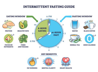 Intermittent fasting plan illustrates a 16,8 schedule with a clock, showing eating and fasting windows, spotlighting water and coffee as allowed beverages. Outline diagram