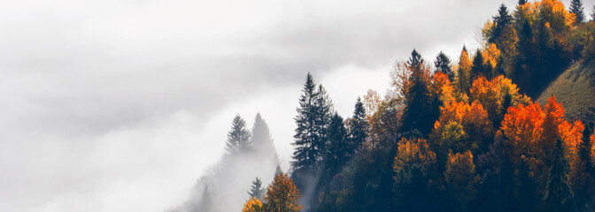 foggy autumn morning landscape, wonderful nature scene, Carpathian mountains, Lviv region, Ukraine,...