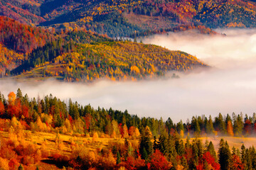 amazing autumn morning landscape, wonderful nature scene, Carpathian mountains, Lviv region,...