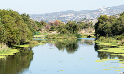Obraz premium Trees and reflections by the banks of river in a sunny day