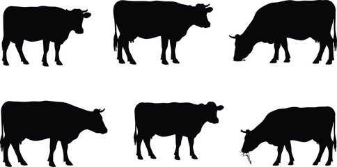 Cow silhouette vector, grazing and standing poses, black farm animal icon, livestock side profile, cad drawing flat vector illustration