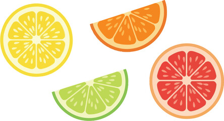 Fototapeta premium Vector art of assorted citrus fruit slices on