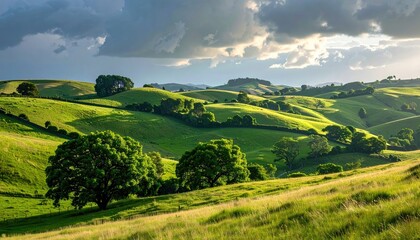 Obraz premium Rolling green hills bathed in golden sunlight under a dramatic cloudy sky