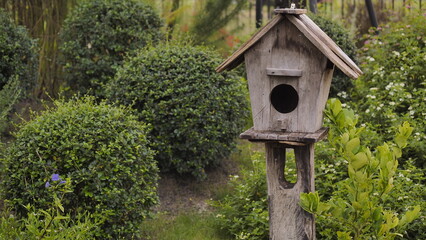  A Rustic Wooden Birdhouse in a Lush Green Garden