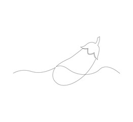 continuous line image eggplant , simple icon in scribble style, fresh vegetable. Vector illustration on white isolated background.