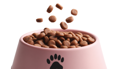 Pet Food in a Bowl, Dry Kibble for Dogs and Cats, Nutritious Animal Diet