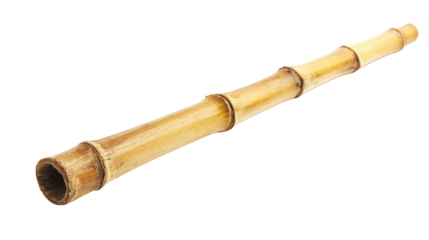 Bamboo Reed Natural Cane Stalk Hollow Tube Piece with Nodes and Warm Golden Hue