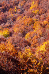 autumn colors, Frignano Regional Park, Lake Santo, Lake Baccio, colorful forests, Pievepelago, Modena