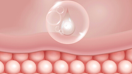 Active Ingredients Penetrating Dermal Layers for Skin Repair