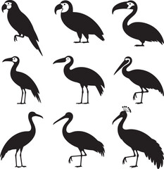Obraz premium Collection of nine black bird silhouettes on white background parrot silhouette toucan silhouette