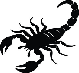 Simple scorpion silhouette. Desert insect and zodiac sign vector.