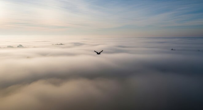 An aerial perspective captures a lone bird in midflight, navigating through a sea of soft, undulating clouds illuminated by the warm, golden light of the sun breaking through the morning haze