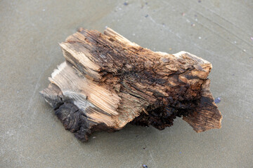 damaged wood sample, old timber fragment with dark patina, broken wood piece with organic aging