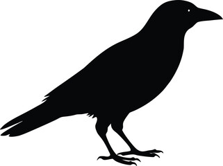 Crow silhouette vector icon. Simple flying bird graphic