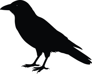 Crow silhouette vector icon. Simple flying bird graphic