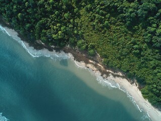 Aerial view of a lush tropical coastline with vibrant green forest meeting the turquoise ocean and white sandy beach.