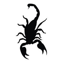 Black scorpion silhouette vector illustration on transparent background, ideal for tattoo, logo or wildlife design.