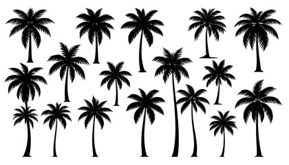 Fototapeta premium Array of various tropical tree silhouettes, black on white