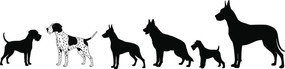Different dog breeds standing in a row, black silhouette animal collection, pet diversity concept, domestic animal artwork, cad drawing flat vector illustration