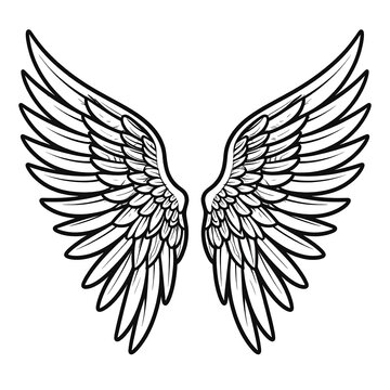 A symmetrical, black and white illustration of spread-out feathers