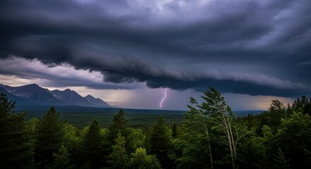Dramatic lightning strikes illuminate a stormy sky over a dark evergreen forest