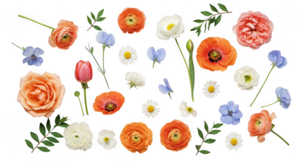 Floral arrangement : An eye-level shot captures a bright and vibrant array of various flowers scattered about with artistic flair. Each bloom and green leaf shows details under the studio light.