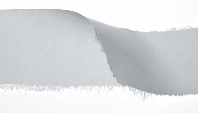 White Torn Paper Curl with Fiber Fringe