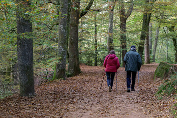 deux retraités se promenant en forêt en automne