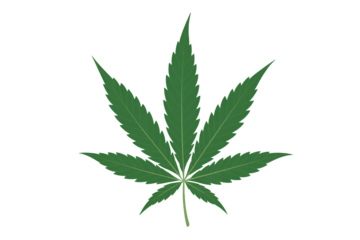 Vibrant green cannabis leaf symbol for natural wellness and growth