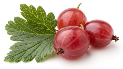 Red gooseberries with leaf isolated in white background
