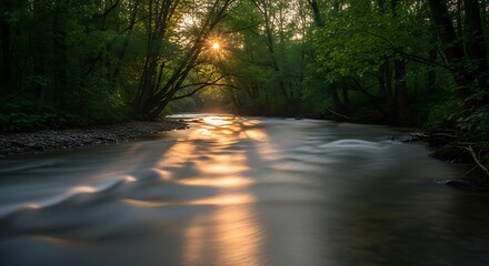 Golden Hour Sunlight Reflects on a Flowing Forest River.