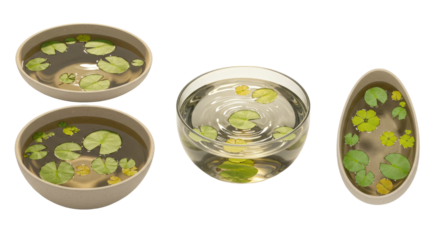 Set of different bowls filled with water and floating green lily pads and flowers, nature-inspired decorative containers, perfect for zen decor