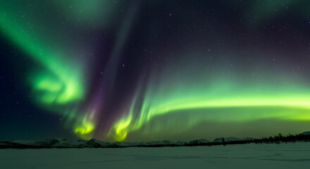 オーロラが舞う幻想的な夜空