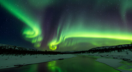 北極圏の神秘的な自然現象