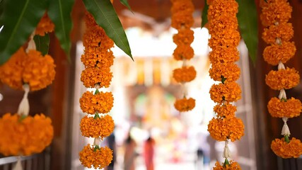Beautiful vibrant marigold garland decoration hanging suitable for festive season traditional ritual, background element, invitation card, ceremony decor, cultural event