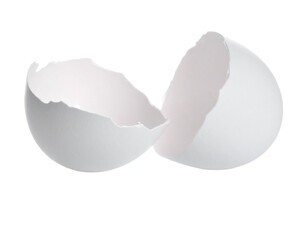 Two Cracked Empty Egg Shell Halves Isolated on White