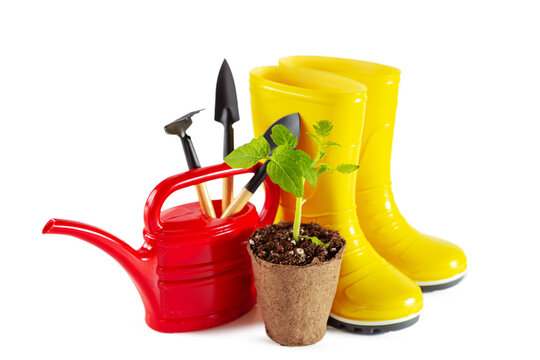 Yellow rubber boots, watering can, tomato seedlings and garden tools isolated on white background.