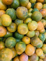 fresh mango fruit