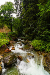 A stream flowing over the rocks in the forest