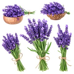 Collection of vibrant purple lavender bouquets, some in wooden bowls and wicker baskets, arranged on a bright white background