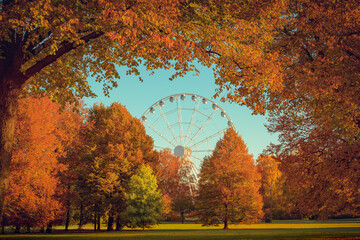 autumn in the park with panorama wheel