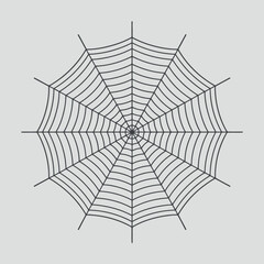 Obraz premium Intricate symmetrical spider web design on a light gray background