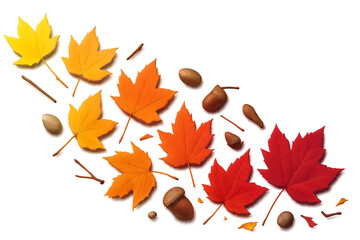Curved Autumn Leaf Arrangement – Gradient of Maple Leaves from Yellow to Red with Acorns, Nuts, and Twigs on White Background Representing Seasonal Change