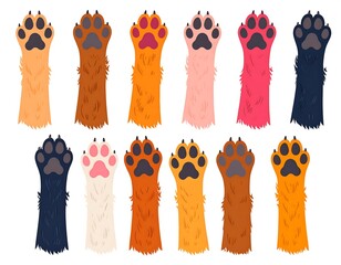 Colorful cartoon depictions of various dog paw pads, arranged in two rows, with varying fur colors and pad colors