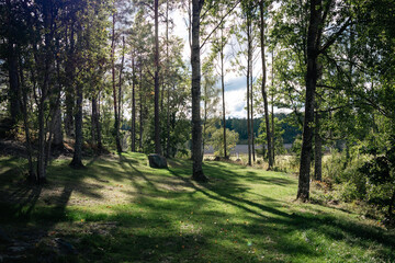 morning in the discgolf course