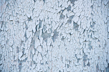 Close-Up of Flaking White Paint on Wood Surface with Texture Detail