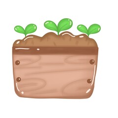 plant isolated in the pot