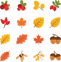 Obraz premium Autumnal Harvest A Collection of Berries Leaves and Acorns.